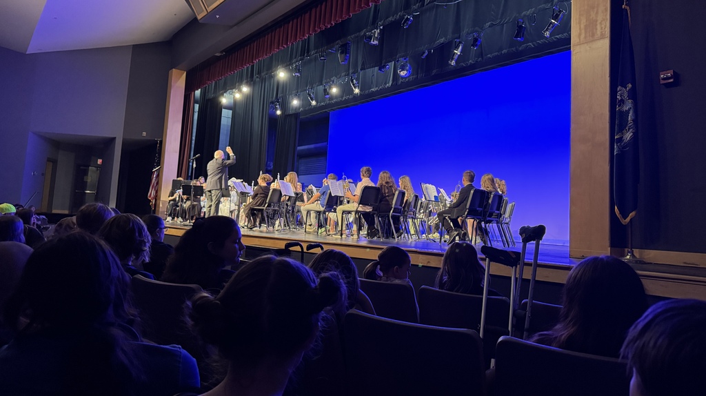 Picture of students in a concert.
