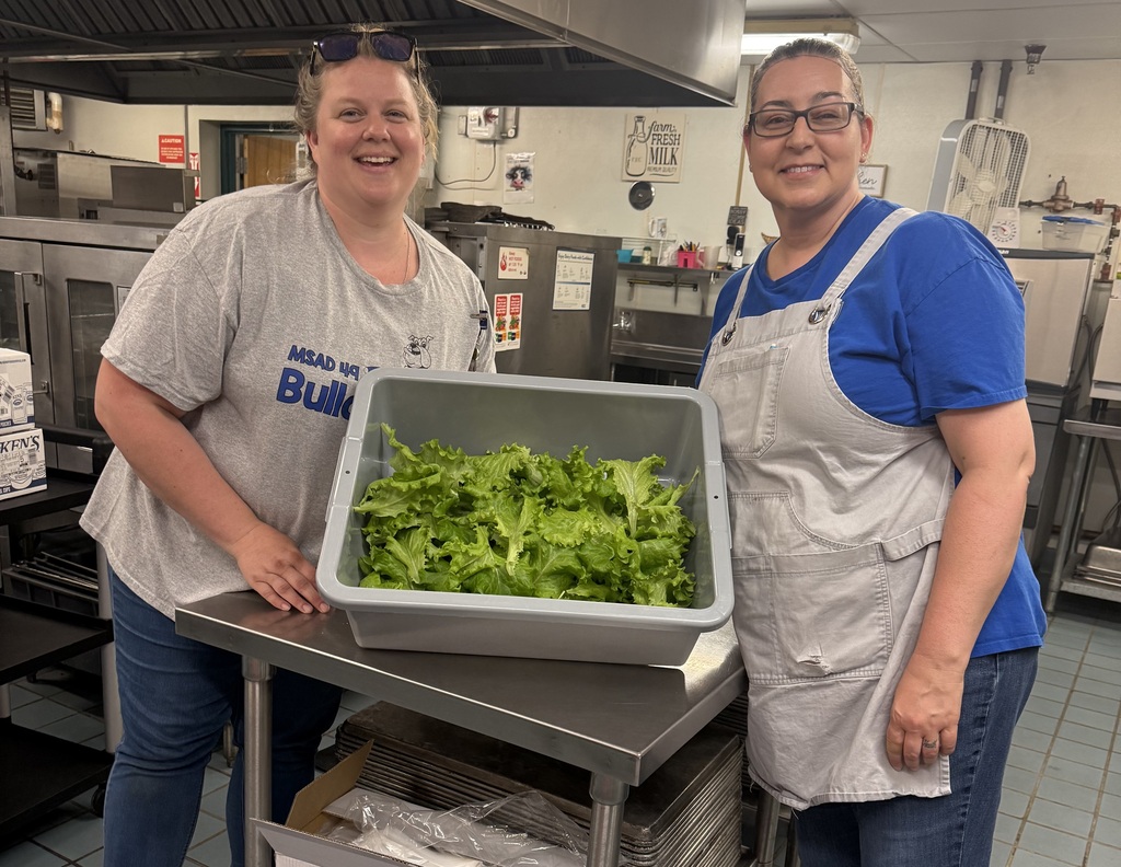 pics of lettuce grown by students.