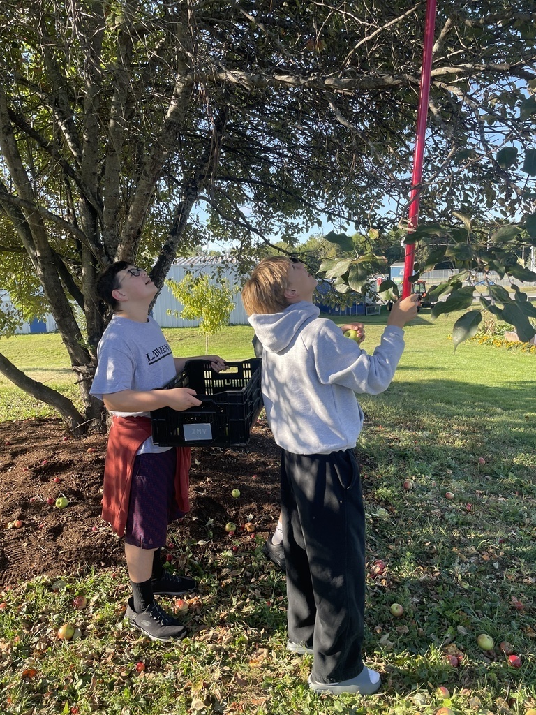 LJHS Students picking apples.