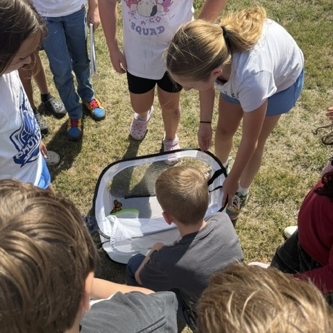 Students releasing butterflies