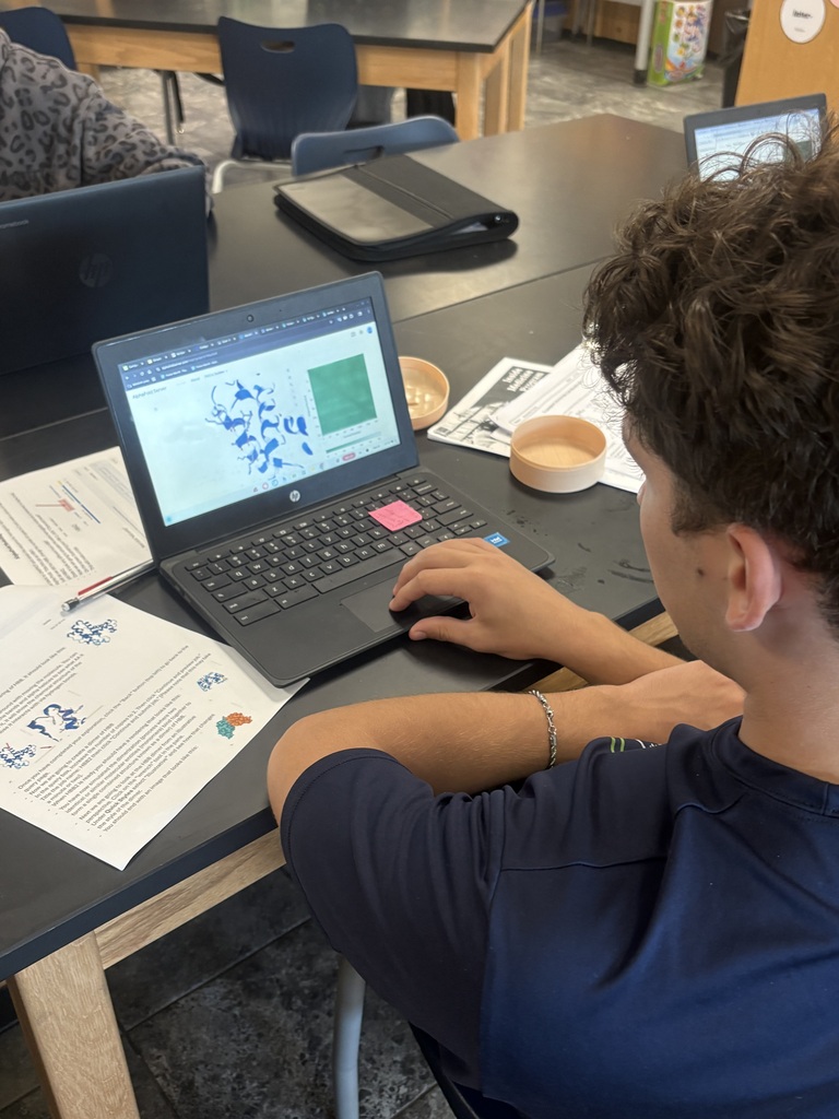 A male student is working on a Chromebook, using a web-based virtual program to fold proteins.