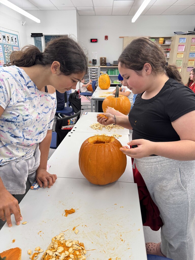 Two young ladies gaze into a pumkin as one extracts a handful of seeds and mush.