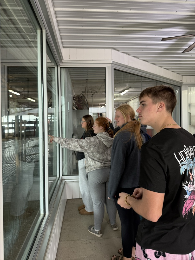 looking at the milking barn