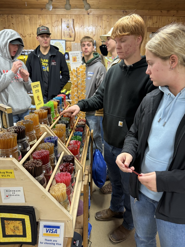 variety of honey sticks 