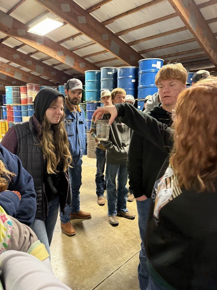 bees preserved mouse.