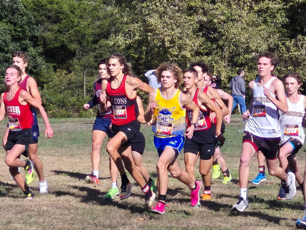 Carter Ferrell racing 