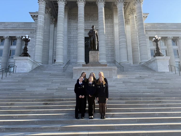 At the capitol steps