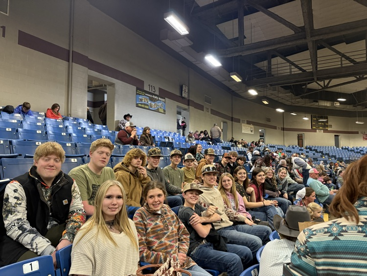 FFA rodeo