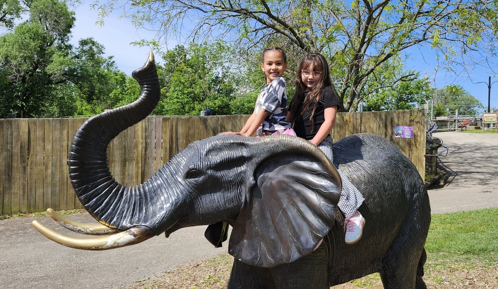 Elephant ride!