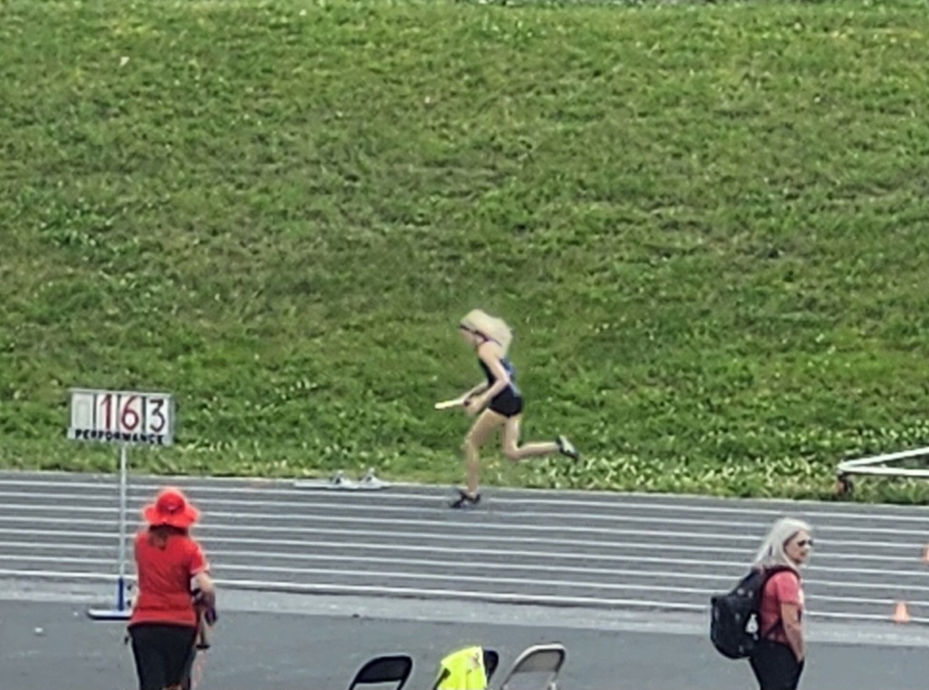 Students at Nixa Sectionals