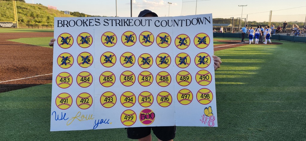 Brooklyn pitch countdown - closing in on 500 strike outs!