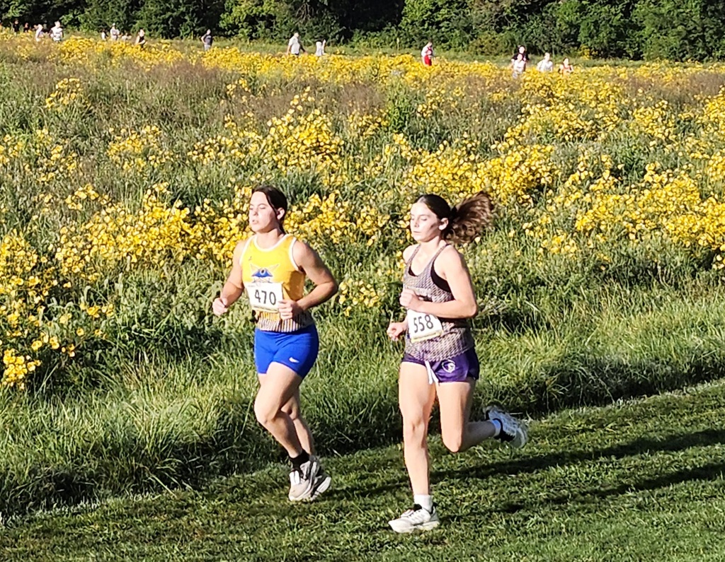 Kaelee raced at Gans Creek this morning.