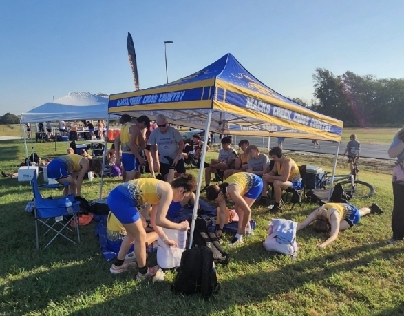 Pirates are getting ready to race!