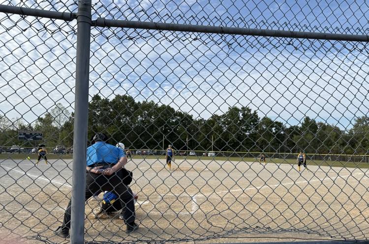 whole field