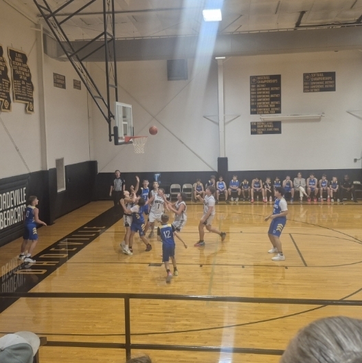 shot