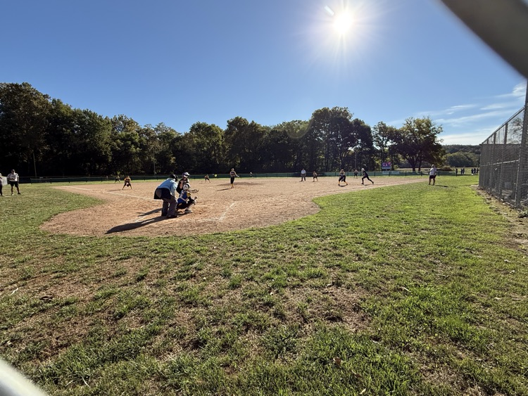 whole field
