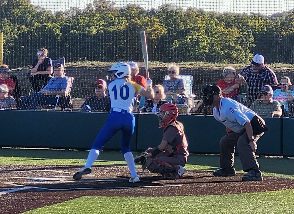 Stella at bat.