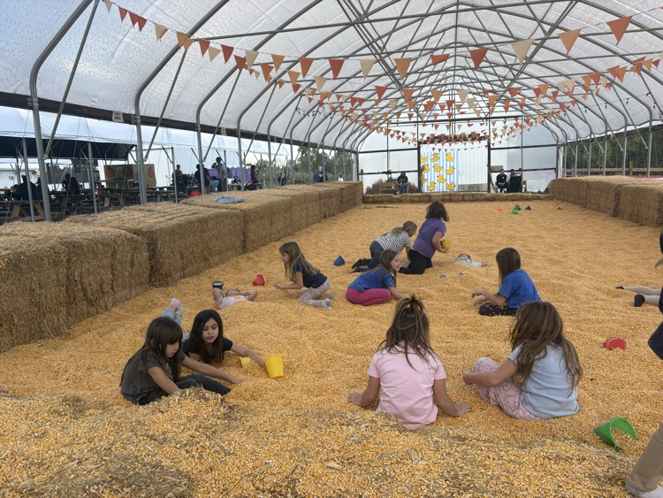 corn pit