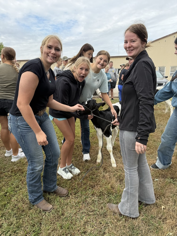 Students with the dairy calf.
