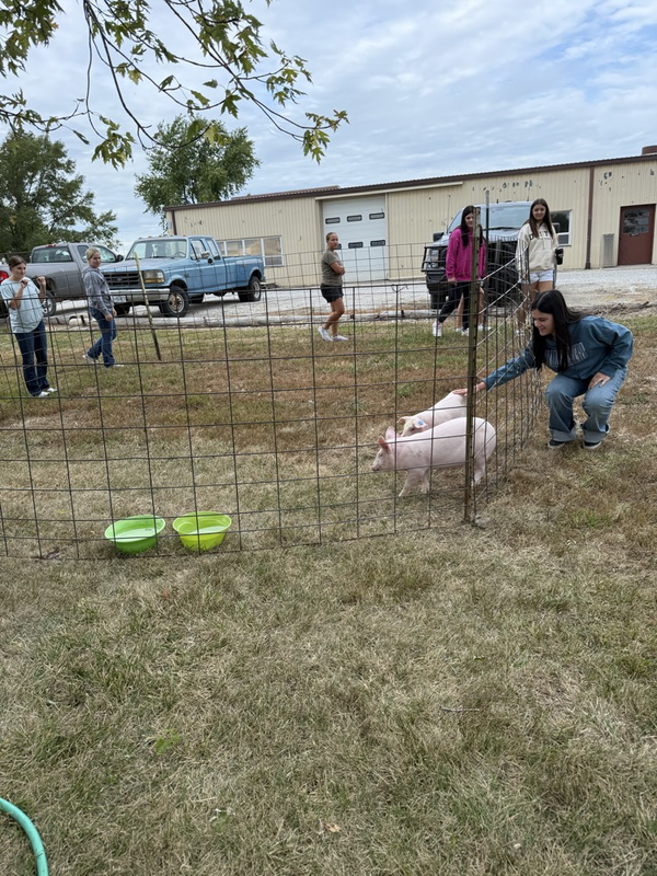 Students with the piglets.
