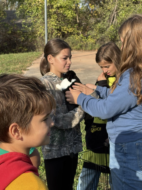 Animal station