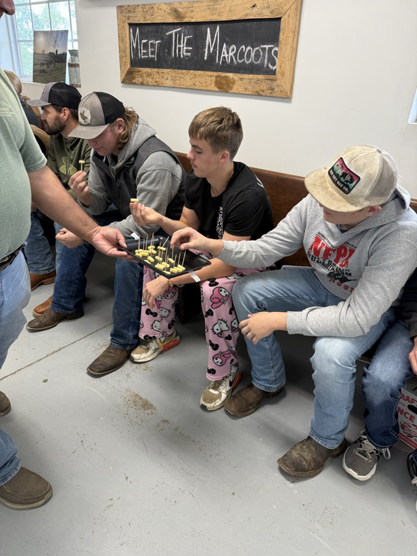 FFA members trying cheese