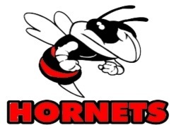 hornet