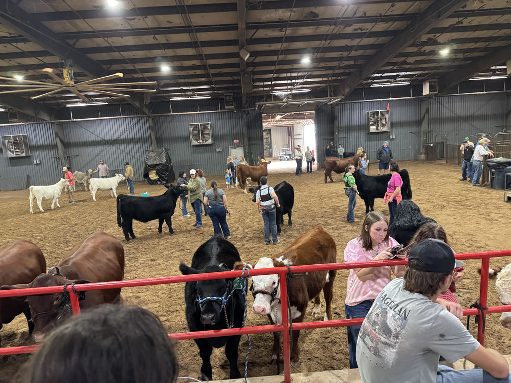 County Fair