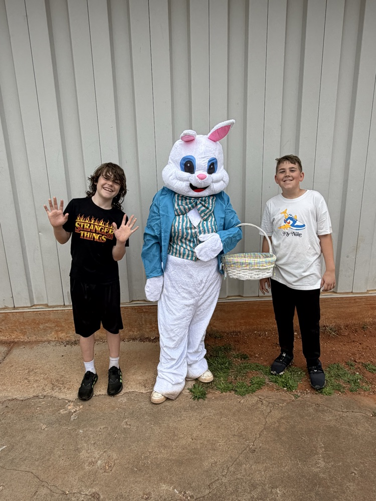 boys and the bunny