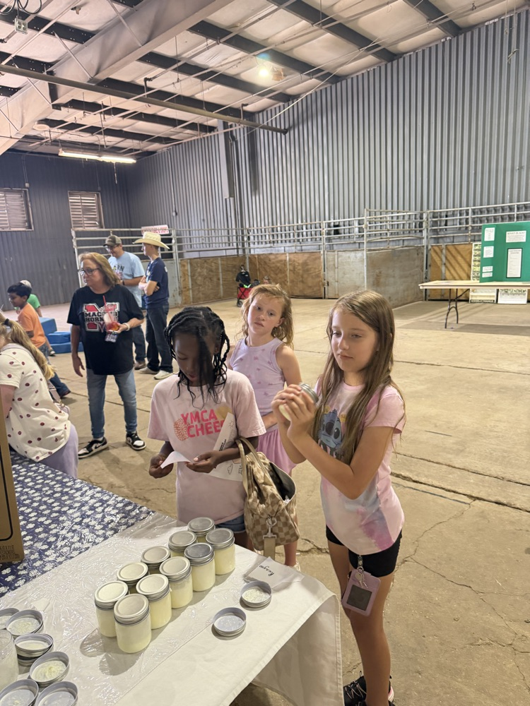 fair2