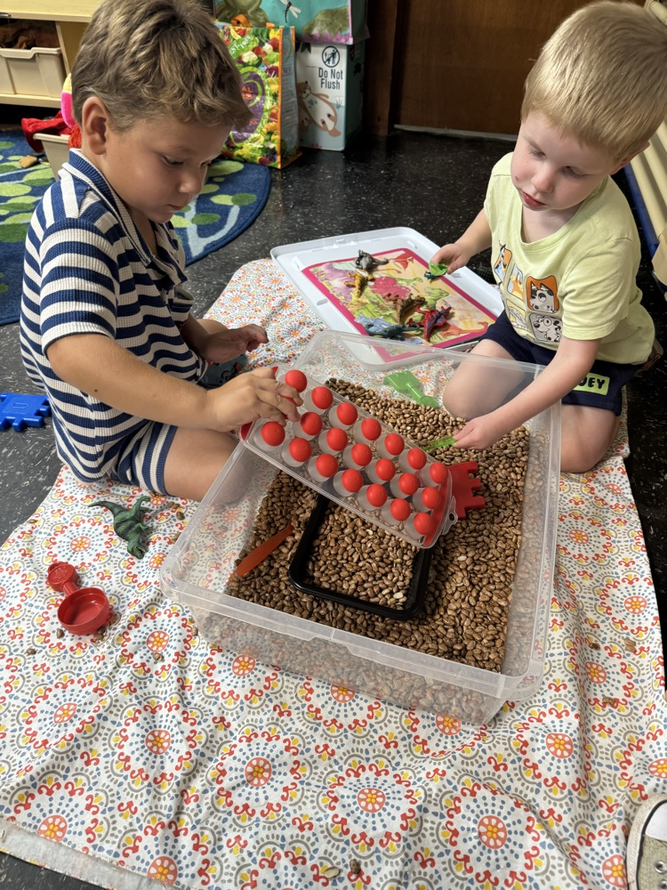 p3 busy1