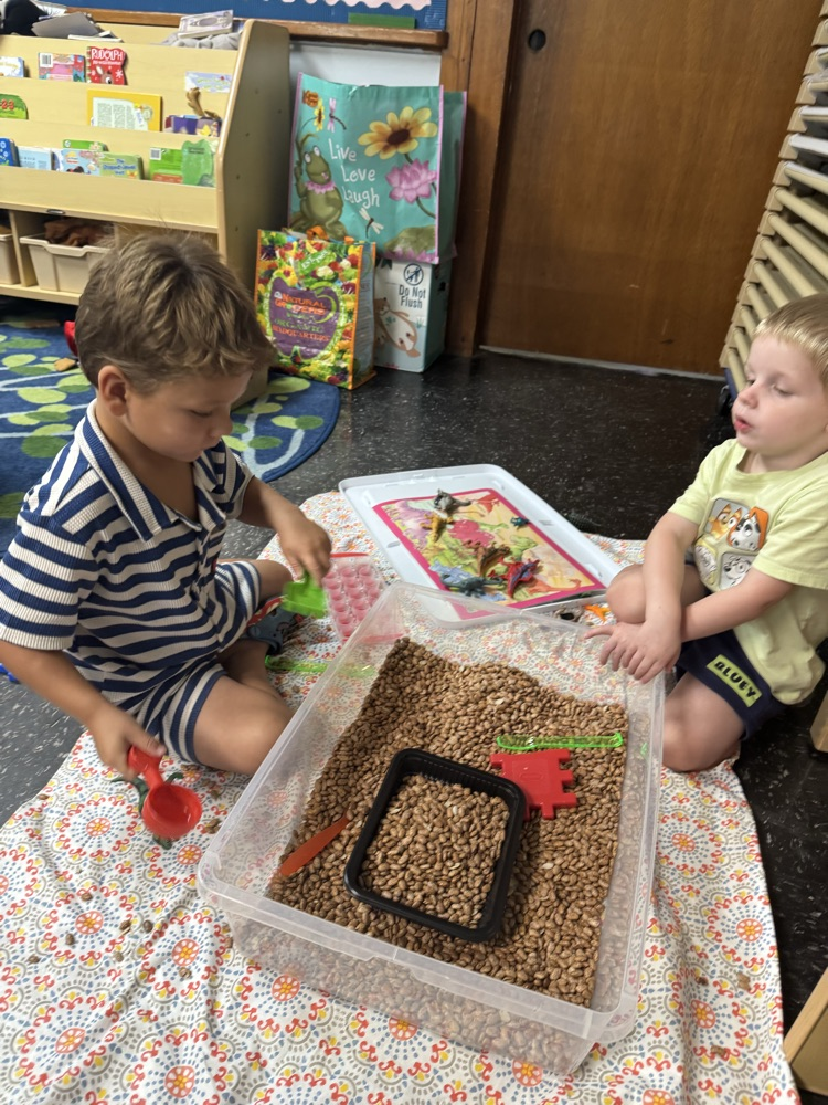 p3 busy2