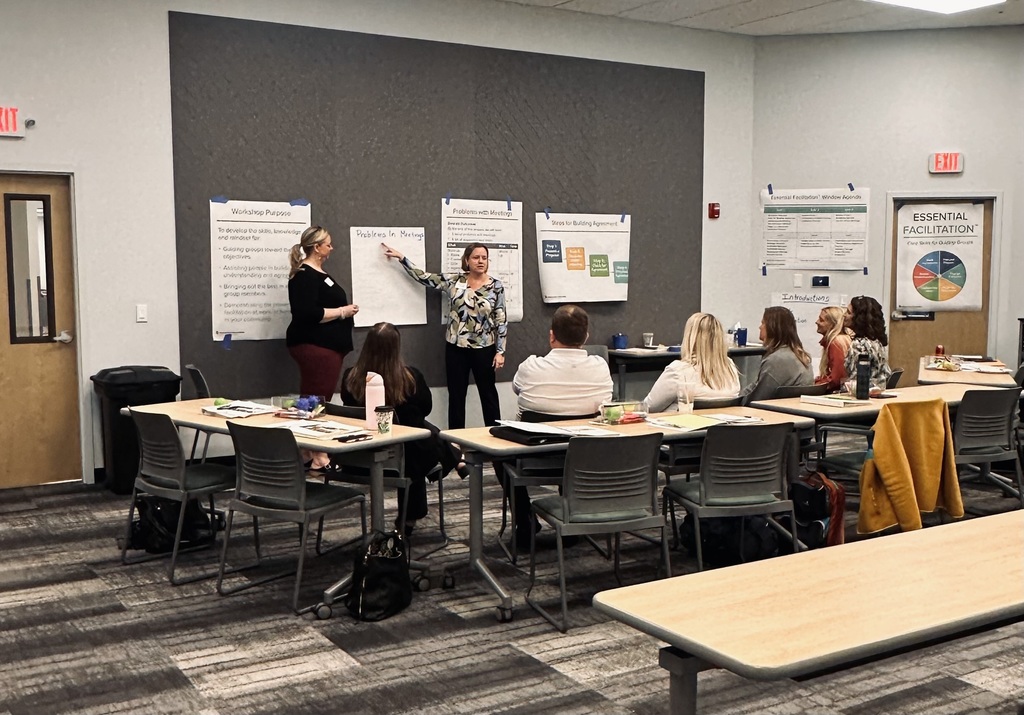 Essential Facilitation Group