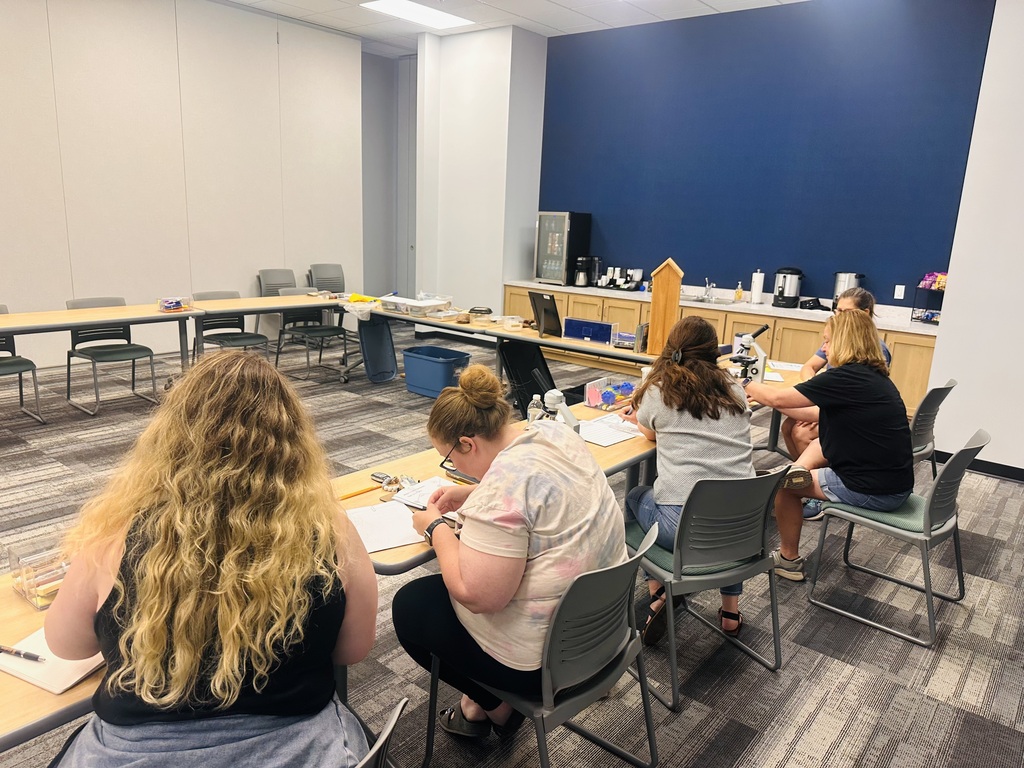 Educators working on an activity for the PD