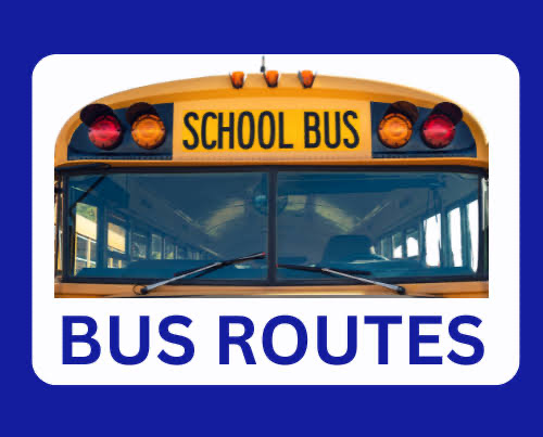 school bus 