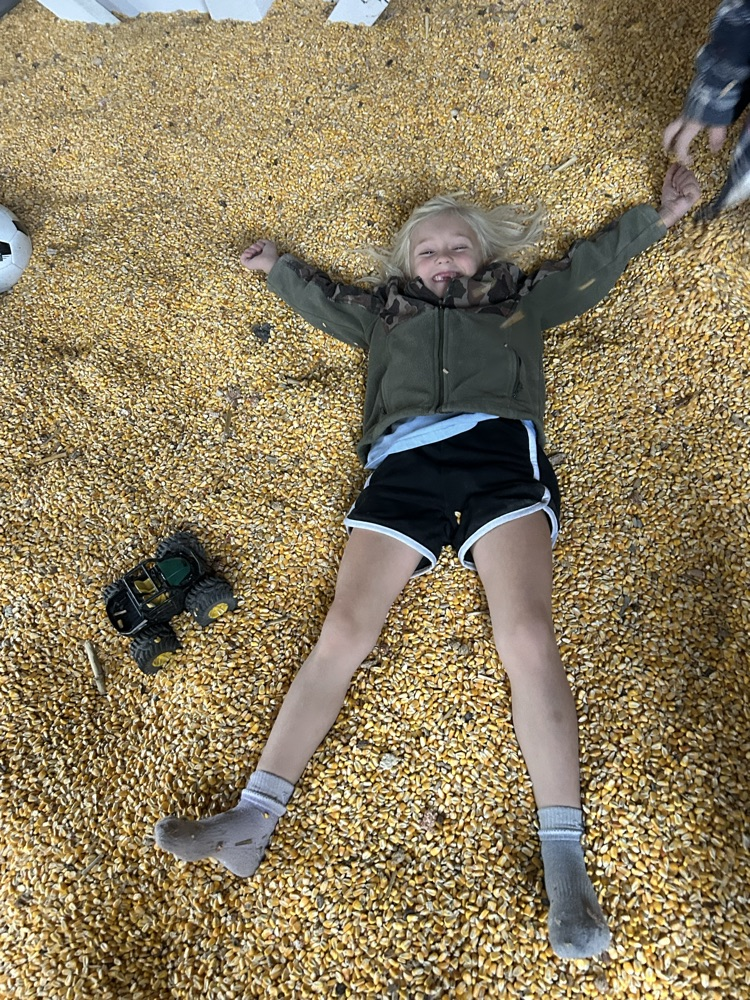 fun
