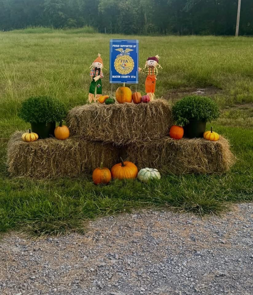 FFA Fall Scene