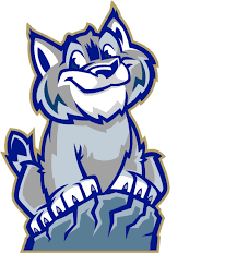 wildcat