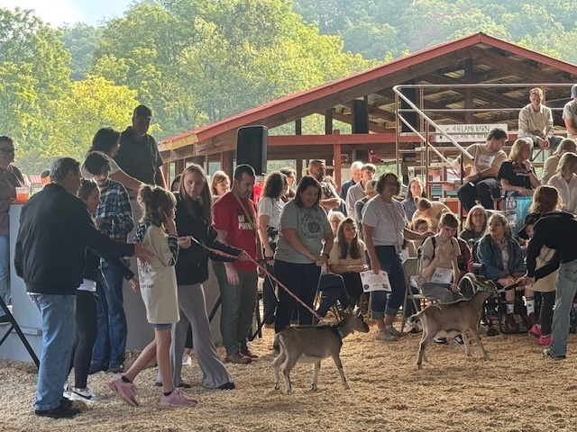 Special Friends Goat Show 