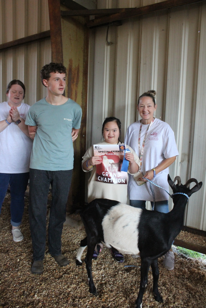 Special Friend Goat Show 
