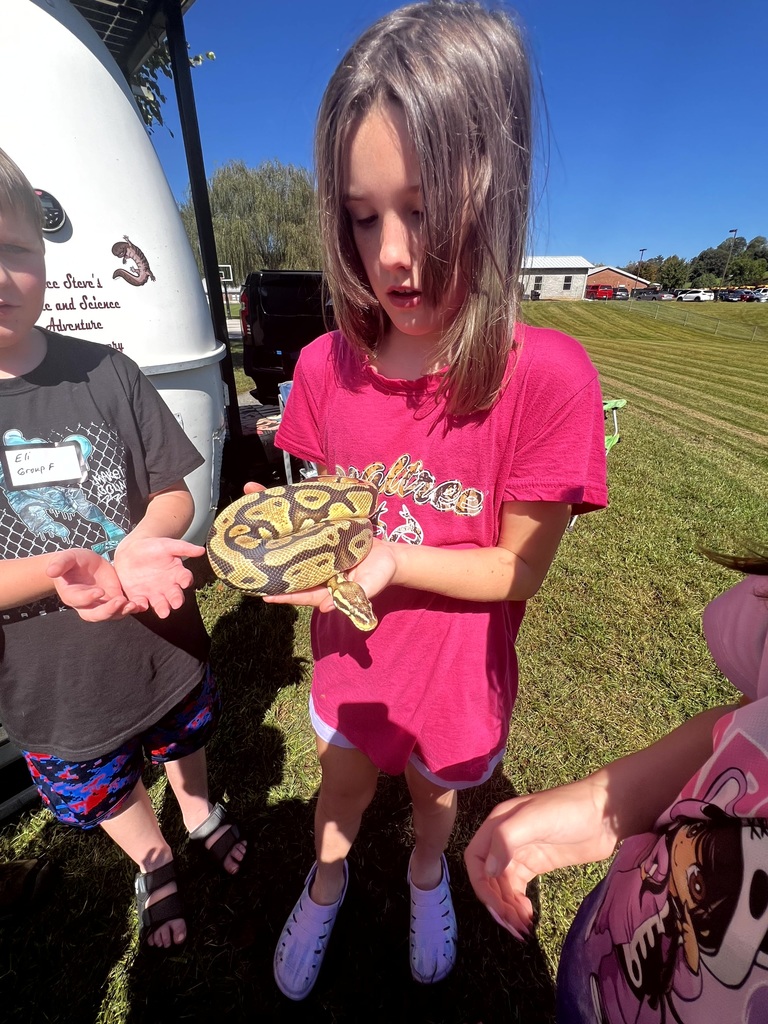 reptiles