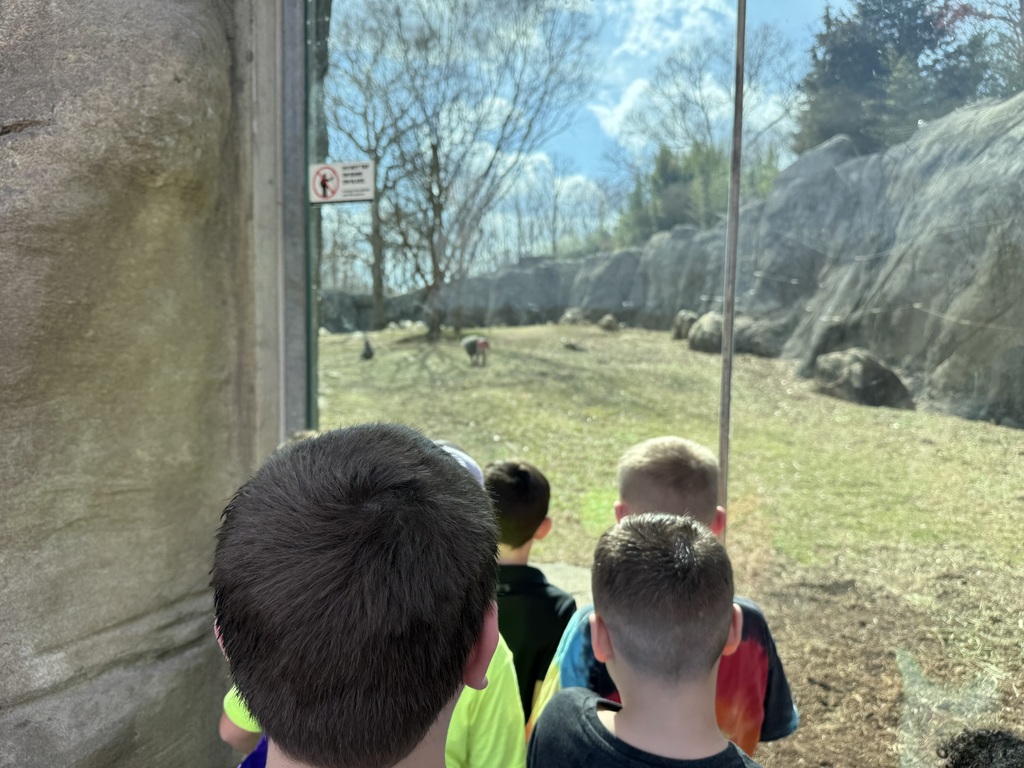 Students enjoying the NC Zoo!