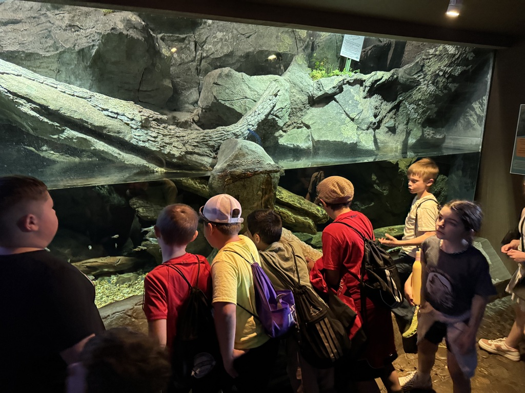 Students enjoying the NC Zoo!