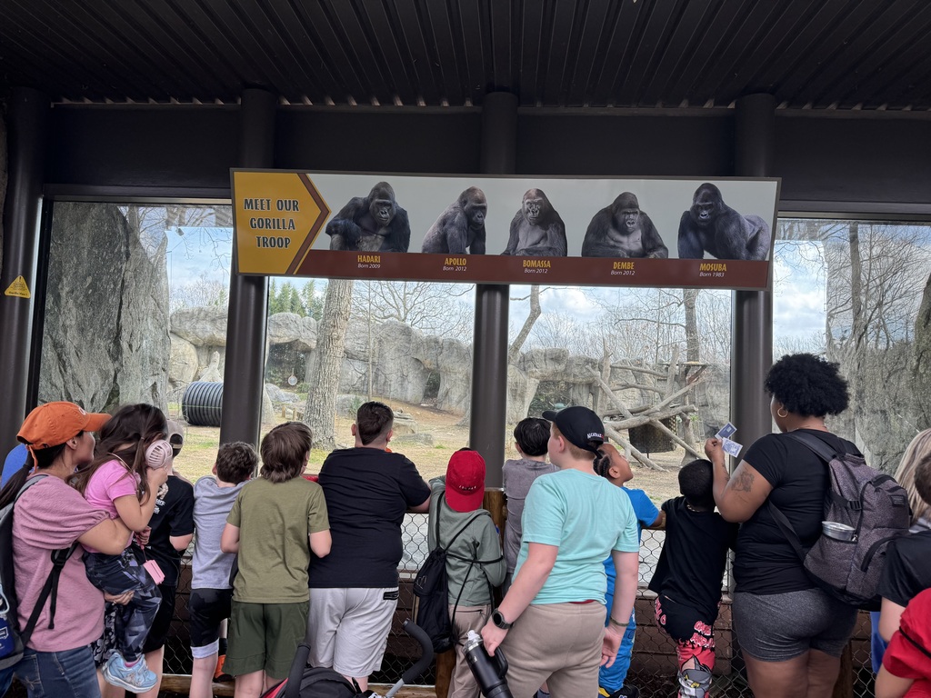 Students enjoying the NC Zoo!