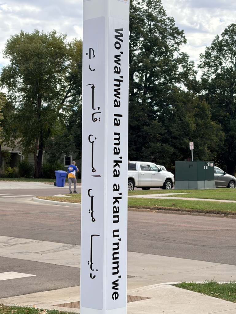 Languages 1