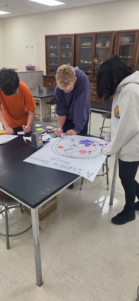 Cell Project