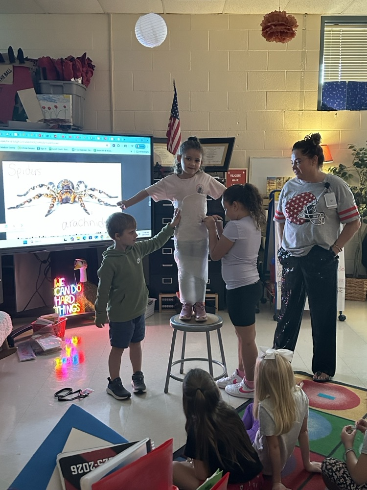 1st Grade Spider Research