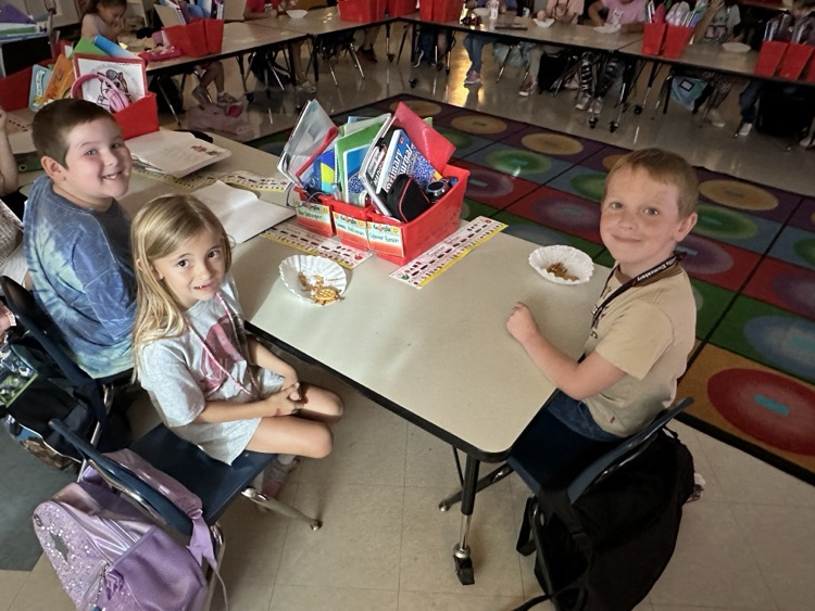 1st Grade Spider Research