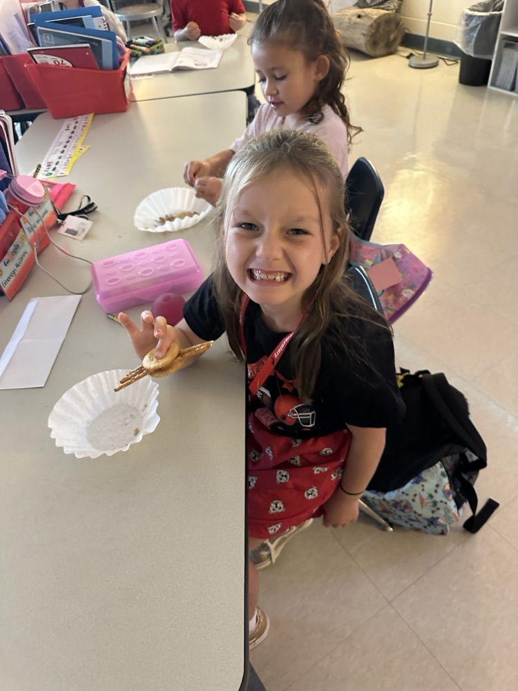 1st Grade Spider Research