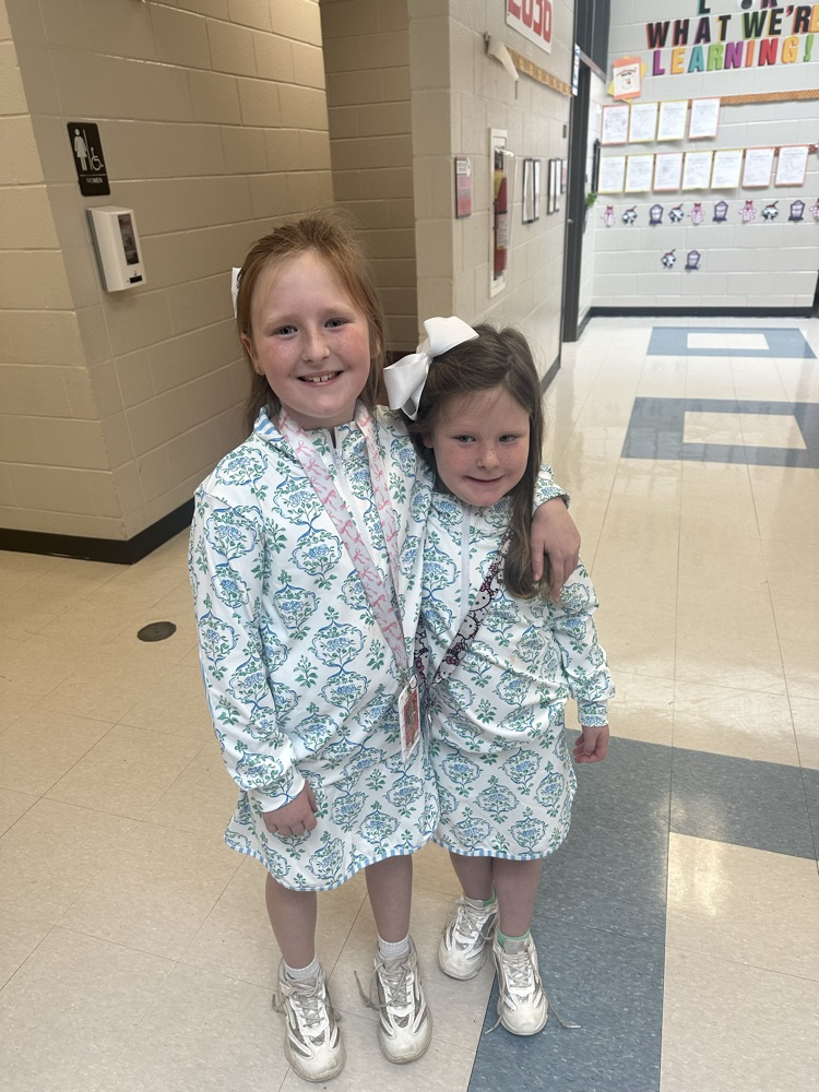 Accidental Twins